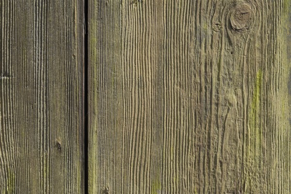 Texture, background, plank wall, wooden wall, Münsterland, North Rhine-Westphalia, Germany