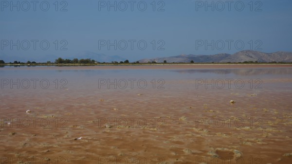 Expansive landscape with muddy shores and long stretches of water under a clear sky, salt lake,