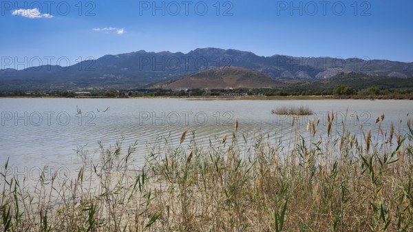 A calm lake with reeds in the foreground and mountains in the background under a clear sky, salt