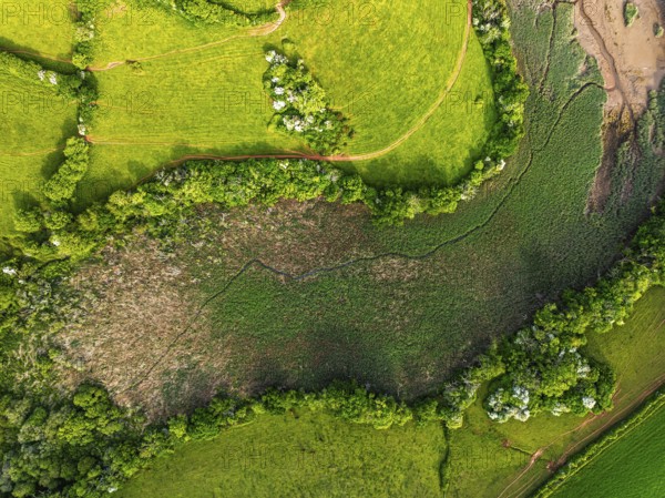 Top Down over Marshes over River Dart from a drone, Stoke Gabriel, Totnes, Devon, England, United