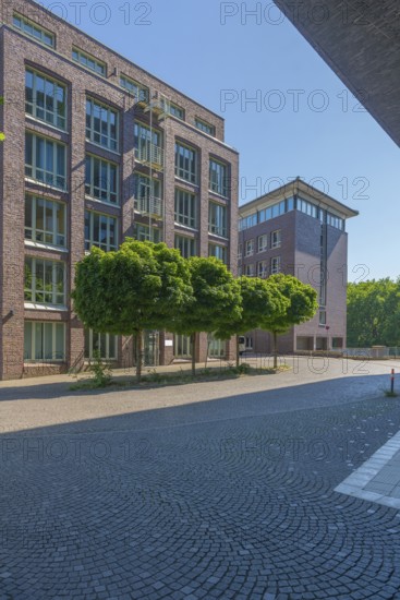 New buildings on Alte Neustadt, Willis Towers Watson, residential, offices, large windows, group of