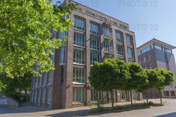 New buildings on Alte Neustadt, Willis Towers Watson, residential, offices, large windows, group of