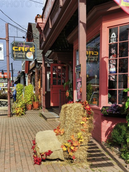 Typically decorated facades, cafe, restaurant, Thanksgiving, Halloween, main street in the village