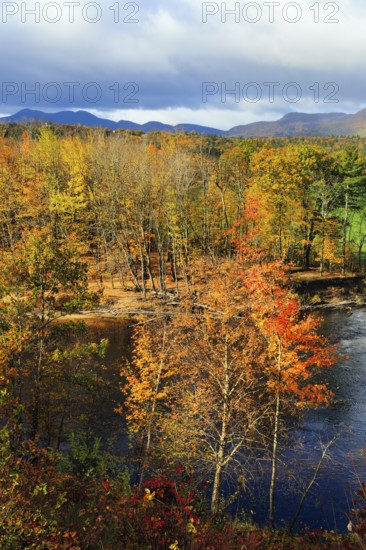 Riverbank, riverfront, Saco River in Mount Washington Valley, fall leaves, Indian summer, sunny