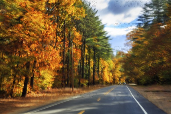 Country road through forest, fall leaves, Indian summer, sunny fall weather, smudge effect, blur,