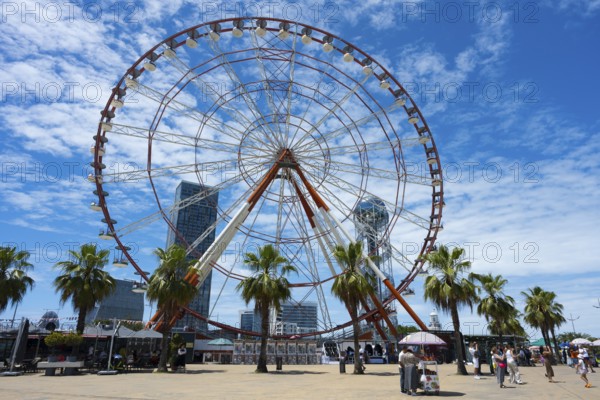 A big Ferris wheel in the municipal park with palm trees and people, bright blue sky, amusement