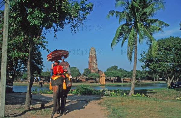 People, tourists, palm tree, temple ruins, riding on an elephant through ancient sights, Ayutthaya,
