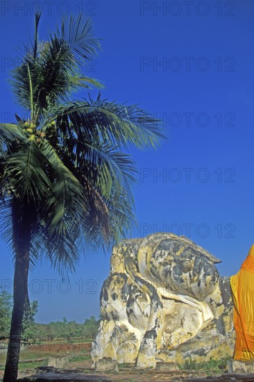Palm tree, statue of the reclining Buddha, Ayutthaya, Thailand, December 2002, vintage, retro, old,