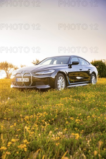 A black car is parked on a flowery meadow in warm evening light, BMW i7, Deer E-Carsharing, Calw,