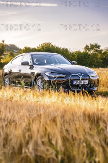 Black electric car in a cornfield at sunset, surrounded by a golden evening mood, BMW i7 electric