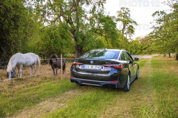 Rear view of an electric car on a rural path, horses grazing next door surrounded by trees, BMW I7