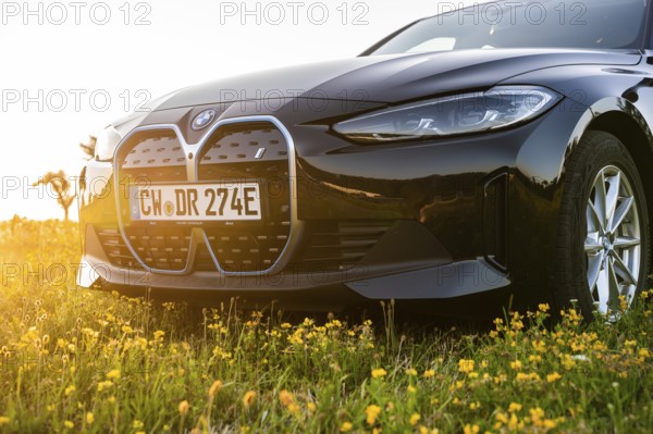 Front view of a black car on a blooming meadow at sunset, BMW i7 electric car, Deer e-Carsharing,