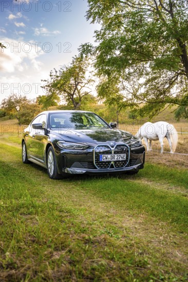 Black electric car on a green field next to a horse, atmospheric evening sun through the trees, BMW