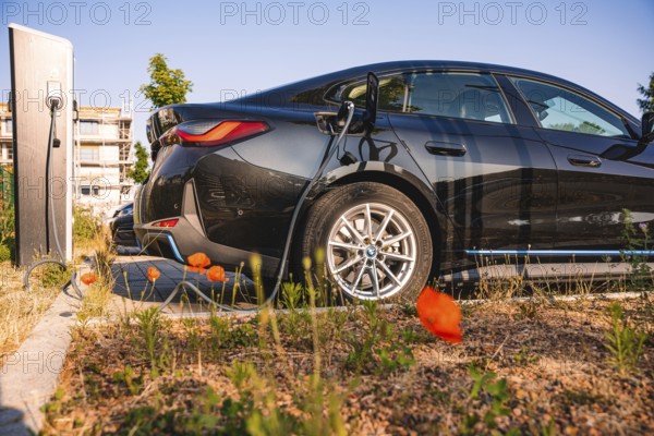 Black electric car charges at a station surrounded by poppies and summer atmosphere, BMW i7
