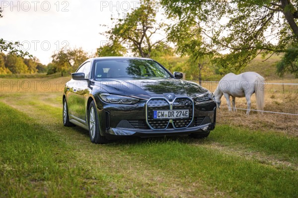 Black electric car standing in a meadow next to a white horse, trees in the background at sunset,