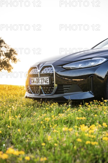 Front of a car on a meadow strewn with flowers in warm sunset light, BMW i7 electric car, Deer