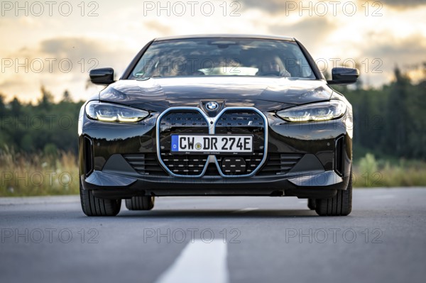 Front view of a black car on the road in front of a forest at sunset, BMW i7 electric car, Deer