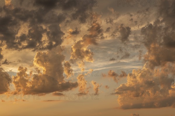 A brilliant sunset casts warm colors across a cheerful meadow. Dark clouds dominate the sky, while