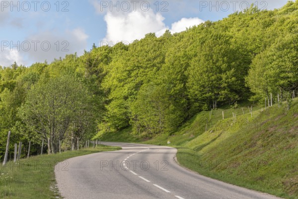 The road runs between trees and green hills. The sky is partly cloudy. It is a clear and bright day