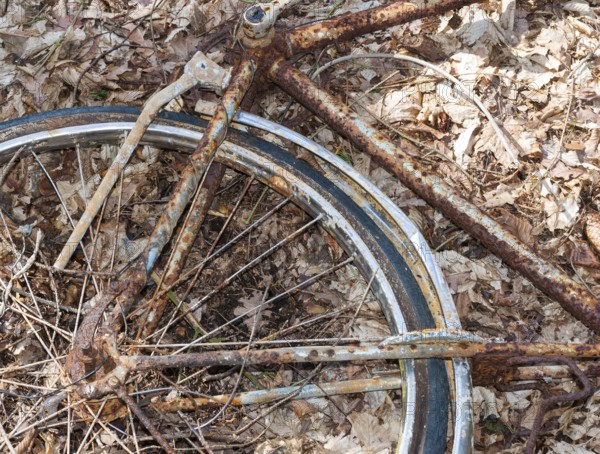 Destroyed, rusty bicycle wreck in the forest, broken Dutch bike, old bicycle lying damaged on the