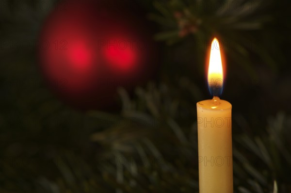 Interior view, close-up, burning candle, Christmas decorations, Christmas tree, Stuttgart,