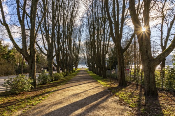 Winter at Lake Baldeney in Essen, Strandbad boat stop, closed in winter, tree-lined avenue leading