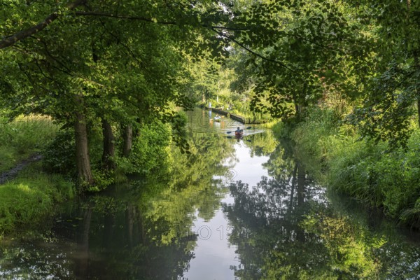 Canal or Spreewaldfließ in the Spreewald near Spreewalddorf Lehde, Lübbenau/Spreewald, Brandenburg,