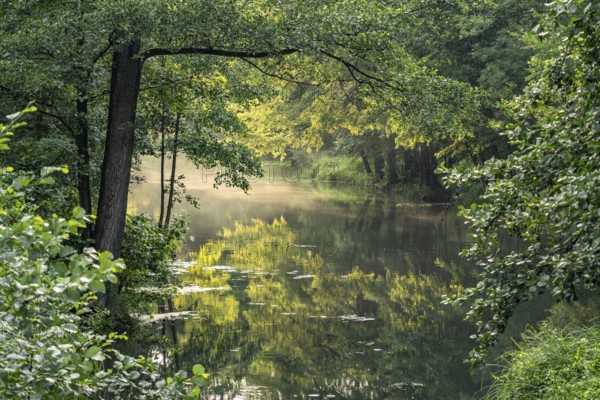 Canal or Spreewaldfließ in Spreewald near Burg, Brandenburg, Germany
