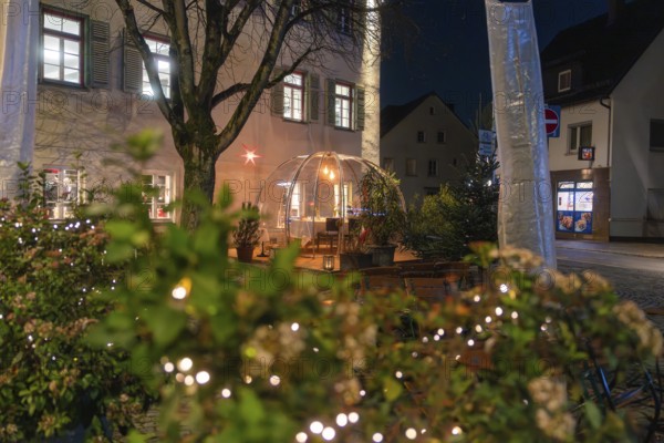 An illuminated dome at night with plants in the foreground, outdoor lights, and street atmosphere,