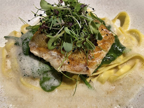 Cod fillet on tagliatelle, noodles, cress, white wine foam, food, Stuttgart, Baden-Württemberg,