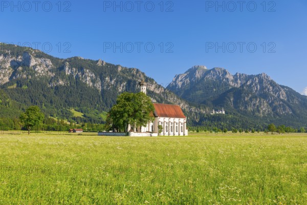 St. Coloman pilgrimage church on green meadow in front of impressive mountain scenery and blue sky,