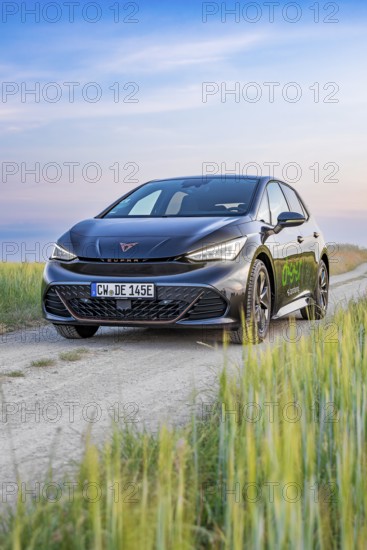 A Cupra vehicle under a wide sunset sky on a rural path surrounded by green fields, Cupra electric