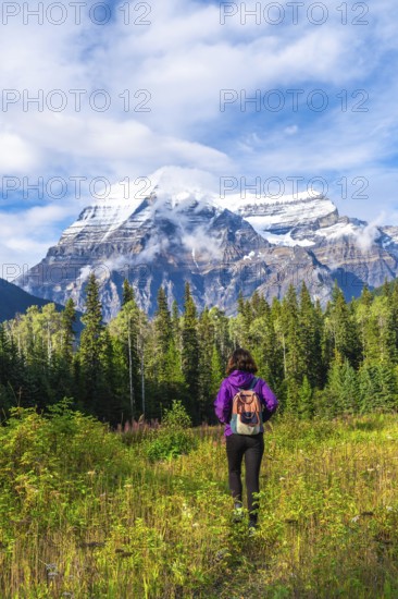 Female hiker walking through a meadow toward the majestic mount robson, the highest peak in the