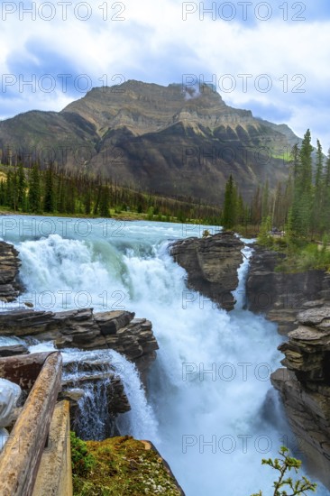 Athabasca falls cascading powerfully over rocky cliffs in jasper national park, alberta, canada,