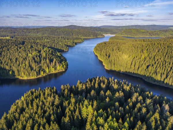 Aerial view, drone photo: spruce forest and beech trees at the Eibenstock drinking water reservoir,