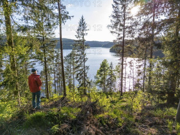 A man hiking through the spruce forest looks at the reservoir of the Eibenstock drinking water dam,