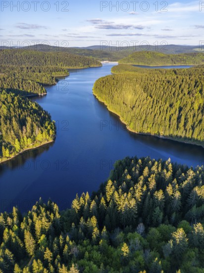 Aerial view, drone photo: spruce forest and beech trees at the Eibenstock drinking water reservoir,