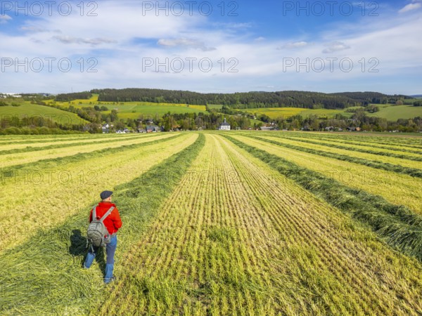 Aerial view, drone photo: Hiker standing in a freshly mown field with a view of Schwarzbach church,