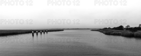 Lagoon landscape at the Meinigenbrücke near Zingst, black and white photo, panorama,
