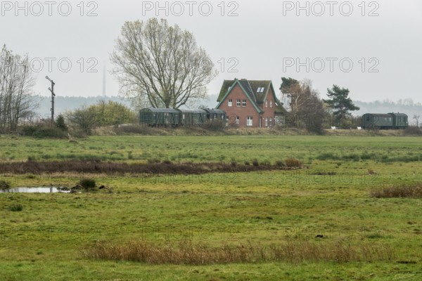 Former Bresewitz station with old railroad cars, near Zingst, Mecklenburg-Western Pomerania,
