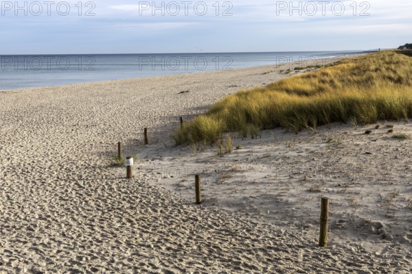 Beach and sea, Prerow, Fischland-Darß-Zingst, Western Pomerania Lagoon Area National Park,