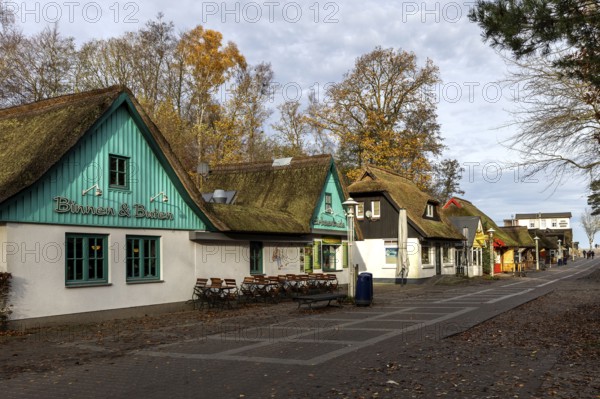 Restaurants and souvenir houses on the way to the pier, Prerow, Fischland-Darß-Zingst, Western