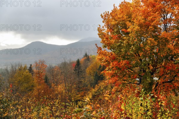 Fall Leaves, Indian Summer, Fall Weather, Sugar Hill Observation Deck, Kancamagus Highway, White