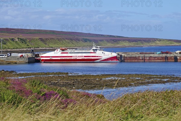 Ferry in harbour in front of a quiet coastal landscape with purple heath, catamaran, ferry to St.