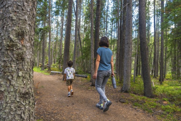 Mother and son enjoying a leisurely hike along a picturesque forest trail in banff national park,