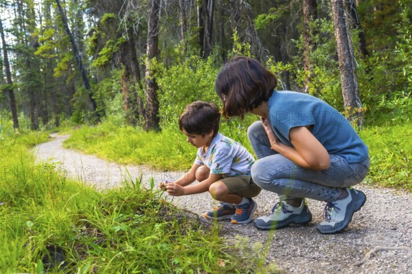 Mother and her son are crouching down, examining wildflowers along a gravel path in the lush