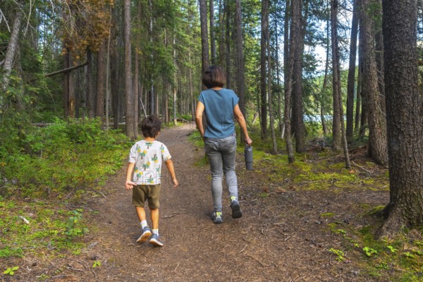 Mother and son are enjoying a leisurely hike through a lush forest trail in banff national park,