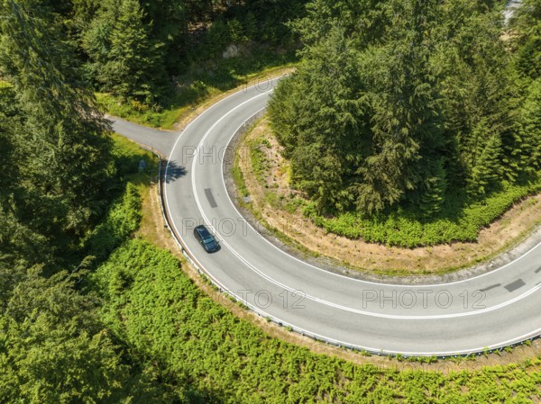 Bird's eye view of a car on a winding road through a dense forest, deer e-car sharing, Cupra