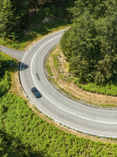 Car on a winding road in the forest, taken from a bird's eye view, Deer E-car sharing, Cupra