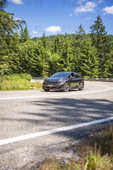 A black car drives on a winding road through a green forest on a sunny summer day, deer e-car